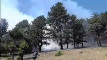 Saimbeyli’deki Orman Yangını Söndürüldü