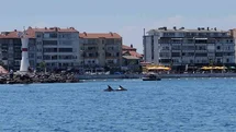 Marmara’nın sürpriz misafirleri: İki yunus teknenin yanında görüntülendi