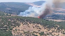 İzmir'de Orman Yangınına Müdahale Devam Ediyor