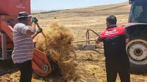 Elazığ'da Mercimek Tohum Kontrolleri