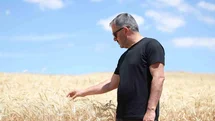 Pursaklar’da Tarımsal Hasat Dönemi Başladı