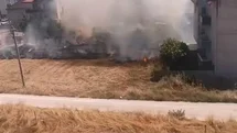 Bursa'da Anız Yangını Zarar Verdi