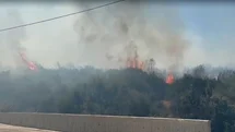 İzmir'de Orman Yangını Çıktı
