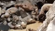 Yüksekova'da Kar Kütlesi Çöktü