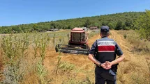Bilecik'te Biçerdöver Cezası Uygulandı