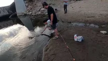 Dev Turna Balığı Kaçtı Edirne'de