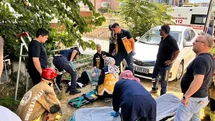 Manisa'da Kayısı Toplama Kazası