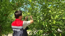 Rize'de Samuray Arısı Uygulaması Başladı