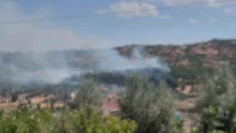 Dicle’de örtü yangını