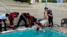 Muğla'da Havuzda Sıkışan Çocuk Kurtarıldı