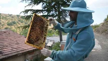 Bin 200 çeşit endemik bitki türüyle 4 kuşaktır süren gelenek: Kanyon balında 4 tonluk rekolte