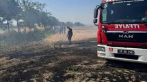 Bandırma'da Anız Yangını Kontrol Altına Alındı