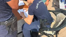 Muğla'da Kılıç Balığına Cezalı Müdahale