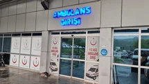 Zonguldak'ta Arı Sokması Vakası
