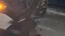 Elazığ’da Domuza Çarpan Cip Hasar Gördü