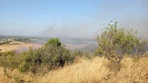 Balıkesir’de arazi yangınına Orman ve itfaiye ekipleri müdahale etti