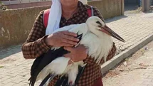Yaralı Leyleğe Sahip Çıktı