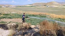 Van'da Anız Yangını Kontrol Altına Alındı