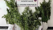 Gaziantep'te Kenevir Operasyonu