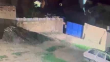 Şanlıurfa'da Meclis Üyesine Silahlı Saldırı