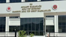Samsun'da Ihlamur Ağacından Düşme Olayı