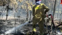 Kastamonu'da Orman Yangını Kontrol Altına Alındı