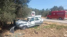 Balıkesir'de Otomobil Zeytin Ağacına Çarptı
