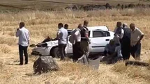 Şanlıurfa'da Otomobil Takla Attı
