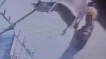 Avcılar'da Hırsızlık Olayı Kamerada