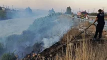 Antakya'da Asi Nehri Kenarında Yangın
