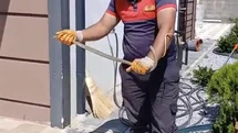 Yozgat'ta Yılan Yakalandı