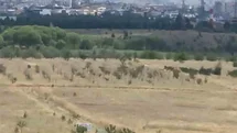 Ankara'da Ot Yangını Kontrol Altına Alındı
