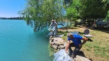 Manavgat'ta Balık Yavruları Bırakıldı