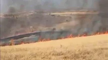 Ankara'da Otluk Alanında Yangın Çıktı