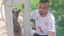 Hatay'da Belçika Kurdu Vahşice Öldürüldü