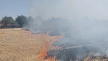 Bandırma'da Çalılık Yangını Kontrol Altına Alındı