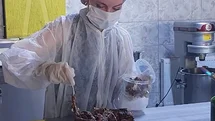 Erzincan'da Gıda Denetimleri Sürüyor