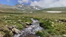 Ordu'nun Yaylalarında Yaz Güzellikleri