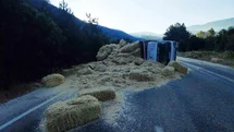 Bolu'da İki Kamyon Çarpıştı