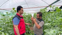 Suruç Ovası'nda Tarımda Değişim