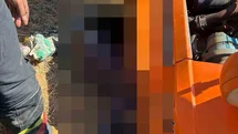Aydın Karacasu'da Traktör Devrildi