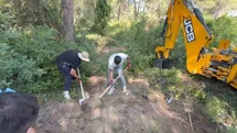 Antalya'da Kadın Cinayeti Davasında Müebbet İstemi