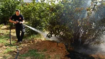 Düzce'de Anız Yangınları Artıyor