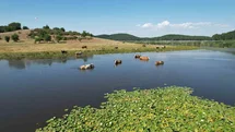 Süleymanlı Yayla Gölü Yeniden Canlandı