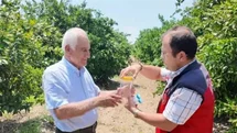 Andırın’da faydalı böcek ile doğal mücadele