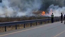 Sultangazi'de Yangın Ormana Sıçradı