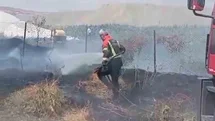 Bingöl'de Bahçe Yangını Kontrol Altına Alındı