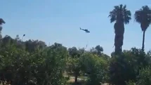 Marmaris'te Zirai Alan Yangını Kontrol Altında