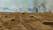 Nallıhan'da Tarla Yangını Kontrol Altında
