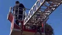 Elazığ'da Yavru Leylek Kurtarıldı